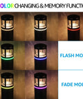 Eight Pack Low Voltage Path Lights With Side Ambient Lighting 5W LED Pathway Fixtures, color changing, black aluminum design.
