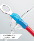Marine Grade Heat Shrink Ring Terminals For 16 To 14 AWG Red Eyelet Connectors waterproof seal demonstration