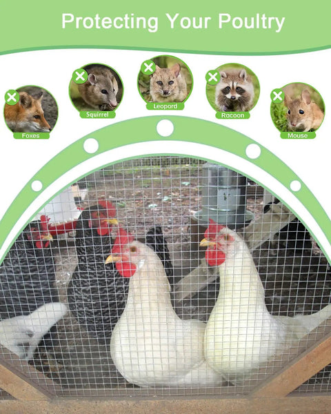 Chickens behind Eight Inch By Ten Foot Mesh Hardware Cloth One Eighth Inch Opening 27 Gauge Welded Wire Mesh for protection.