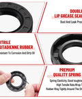 Two Pack 30205 Trailer Bearings Kit with races and TC 30x52x10mm seals showing double lip grease seal design.