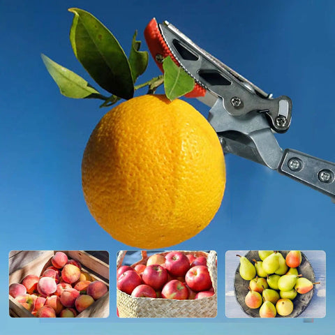 Extendable Pruner With Rotating Blade Head For The Yard, Lightweight Aluminum Pole Reaches 3.67 To 5.45 Feet To Cut Branches Up To One Inch, Tilt Adjustable Head, Fruit Picker Included, A Solid Garden Workhorse shown picking orange