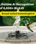 Broad-tailed hummingbird at Smart Bird Bath With Dual Lens Camera Solar Powered Fountain Stand For Bird Watching Auto Capture Bird Videos And AI Identification A Cool Gift For Bird Lovers Who Love Real Time Feeds