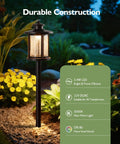 Sweet Low Voltage Outdoor Pathway Lighting Kit 12V 3000K Warm LED Walkway Lights illuminating plants at night