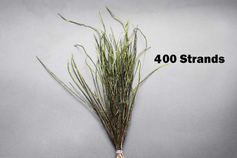 Natural Peacock Herl 400 Strands for Fly Tying Nymphs and Wet Streamers Rib and Body Material Length 4 to 8 Inches