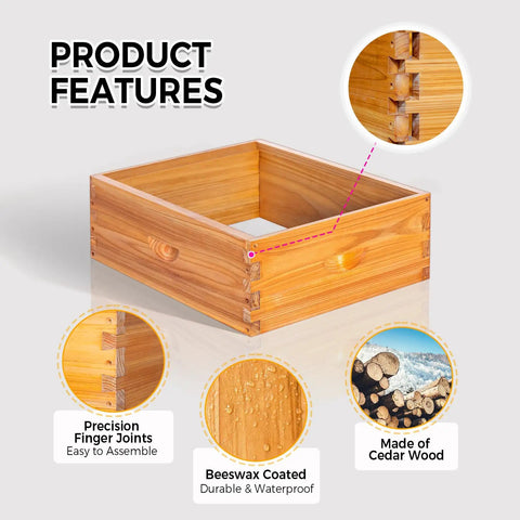 Two Pack 10 Frame Langstroth Medium Beehive Supers Kit With Beeswax Finish showing cedar wood and finger joints