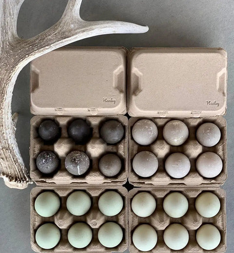 Six Jumbo Duck Egg Cartons Pack with Blank Top for Custom Labels Each Carton Holds Six Large Eggs Ideal For Farm Fresh Or Backyard Eggs Eco Friendly Paper Pulp 100 Pack