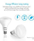 Power-Saving Dimmable LED Flood Light Bulbs, 60W Equivalent, 8W, 2700K Soft Warm White BR30 E26 Can Ceiling Lights, UL Listed