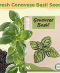 Box of Genovese Basil Seed Pods Kit for hydroponics with fresh basil leaves and seeds visible.