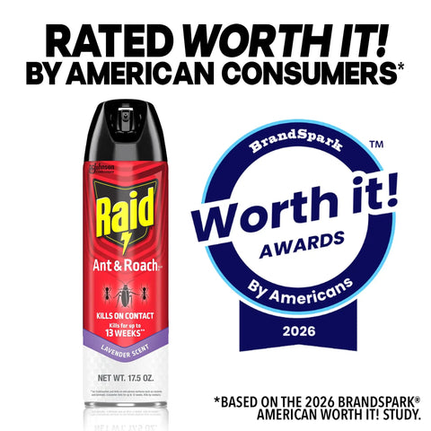 Ant And Roach Killer Spray With Lavender Scent Seventeen Point Five Oz Kills Cockroaches Waterbugs Palmetto Bugs Ants Spiders