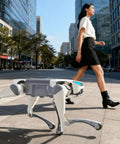 Lite 3 Basic AI Quadruped Robot Platform For Robotics Developers And Researchers Featuring Dope Mobility And AI Driven Motion Control For Algorithm Testing And Real World Robotic Application Development, white quadruped robot walking outdoors