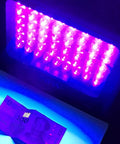 Lit 50W UV LED Flood Light Blacklight for Curing Glue, Aquarium Glow, Fishing, Night Parties, and Art Projects 395nm-400nm 110V US Plug shines on currency