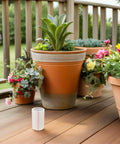 Enjoy Zero Sweat Fixes And Keep Your Greenhouse Sealed Tight Through Any Change With Heavy Duty BOPP Waterproof Patch Tape For Plastic Sheeting Repair Needs in a garden with flower pots.