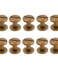 Premium Slick Heavy Duty 10 Pack 1/4 Inch Chicago Screws Brass Quick Detach Rivet Fasteners arranged in a row.