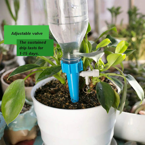 24 Pack Self Watering Spikes For Plants Automatic Indoor Plant Waterer With Adjustable Drip Valve in a potted plant