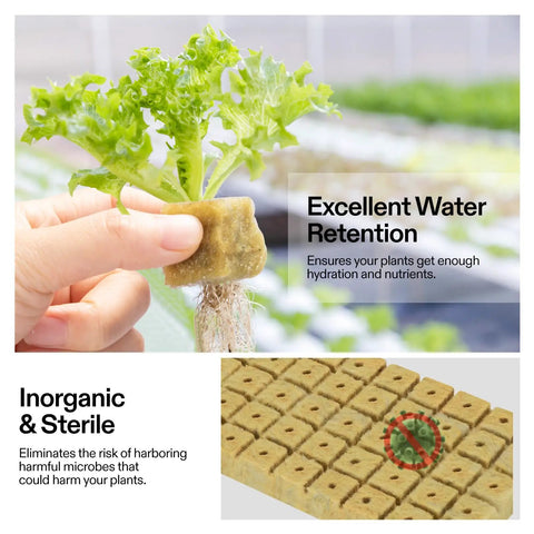 1 Inch Rockwool Cubes For Seed Starting And Cloning 200 Plugs For Hydroponics Propagation Media For Vigorous Growth Easy Cuttings And Seedlings