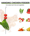 Hanging chicken feeder with lettuce and tomatoes, background shows chicken and various fruits and vegetables illustration