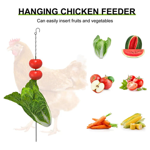 Hanging chicken feeder with lettuce and tomatoes, background shows chicken and various fruits and vegetables illustration