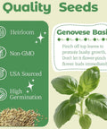 Genovese Basil Seed Pods Kit For Hydroponics Refill With Eight Grow Pods Seeds And Plant Food For All Indoor Gardens Includes high germination heirloom seeds and non-GMO USA-sourced Genovese basil plant.