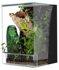 Automatic Reptile Water Dripper Keeps Your Herp Squad Properly Quenched With A Smooth Chameleon Drinking Fountain And Steady Drip System in lizard tank with plants.