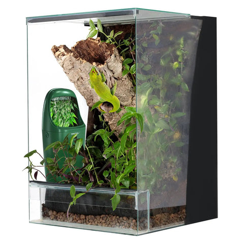 Automatic Reptile Water Dripper Keeps Your Herp Squad Properly Quenched With A Smooth Chameleon Drinking Fountain And Steady Drip System in lizard tank with plants.