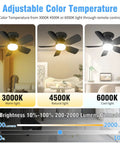 20 Inch Ceiling Fan Light With Remote, 30W 2000 Lumens Led Socket Bulb Fan, 3 Daylight To Amber Tones, 6 Big Breeze Speeds, Zero Sweat Tool Free E26 Screw In Setup For Chill Bedrooms Or Tight Kitchens showcasing adjustable color temperature options.