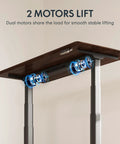 Close-up of the dual motors for the Straight Up Premium Motorized Height Adjustable Standing Desk with black walnut top.