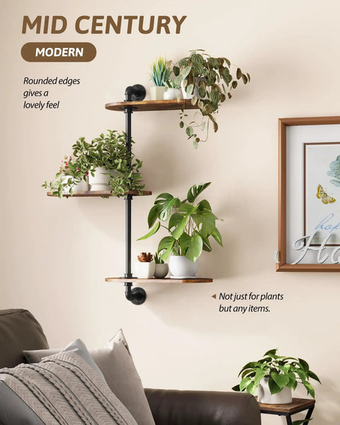 Heavy Duty Wooden Three Tier Window Sill Plant Stand Featuring A Smooth Rotating Rack To Show Off Your Houseplants And Clear Up Space Without Breaking A Sweat Today, showcasing plants on three wooden tiers with black steel supports.