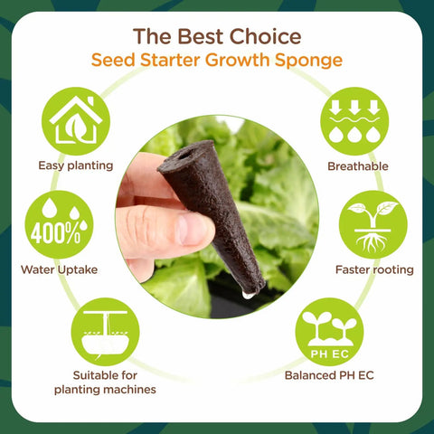 Hand holding a hydroponic grow sponge, 150 Pack Grow Sponges for Hydroponics Replacement Seed Pods Compatible with AeroGarden and iDOO Cone Pods