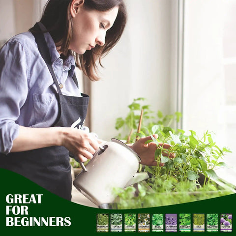 Woman using 10 Herb Garden Kit Non GMO Heirloom Seeds For Indoor And Outdoor Windowsill Grow Kit with various herbs.