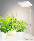 Boss Tabletop Grow Light For Seed Starting Bonsai And Succulents, 25W Desk Plant Light With 4/8/12/16/20H Auto Timers, 16 To 24 Inch Adjustable Height, Daisy Chain, No Adapter Needed, Ideal For Cactus with potted plants