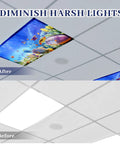 Comparison of fluorescent light fixture with and without Six Magnetized Fluorescent Light Covers For Classrooms And Offices 4x2 Feet Ocean Color.