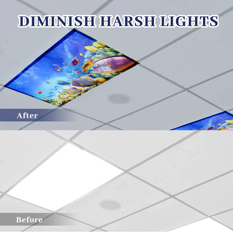 Comparison of ceiling before and after with Eight Pack Magnetic Fluorescent Light Covers For Classrooms And Offices installed