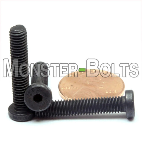 Heavy Duty Size Ten Thirty Two Coarse Thread Low Head Socket Cap Screws One Inch Long Alloy Steel With Thermal Black Oxide Finish Ten Pack next to a penny.