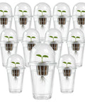 Clear Hydroponic Cups With Humidity Domes 12 Pack showing seedlings in transparent cups for easy root monitoring.