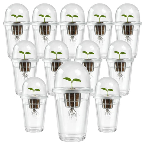 Clear Hydroponic Cups With Humidity Domes 12 Pack showing seedlings in transparent cups for easy root monitoring.