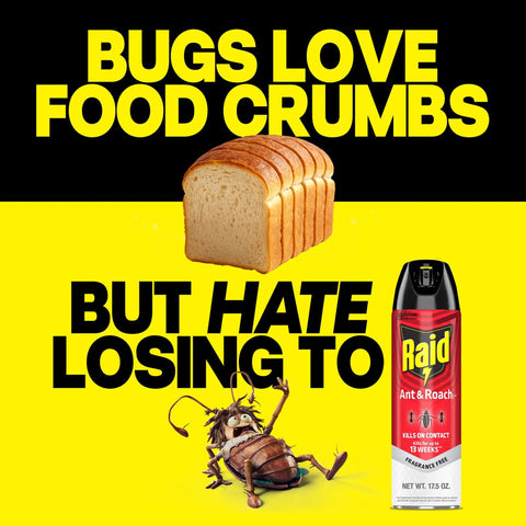 Ant And Roach Killer Spray For Home Use Fragrance Free Kills On Contact Insects Including Ants Cockroaches Spiders Waterbugs