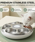 Set It And Forget It Automatic Wet Food Feeder For Cats With Rust Proof Stainless Steel Tray, cat eating from dish.