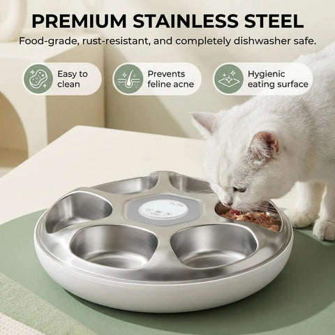 Set It And Forget It Automatic Wet Food Feeder For Cats With Rust Proof Stainless Steel Tray, cat eating from dish.