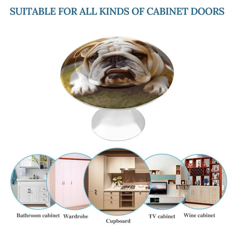 Cute Bulldog Puppy Cabinet Knobs 2 Pack Round 1.1 Inch Stainless Steel Drawer Pulls shown in various furniture uses