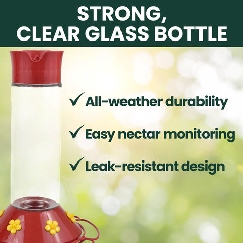 Glass Hummingbird Feeder For Outdoors Hanging, 30 Oz Nectar Capacity, Ant And Bee Guarded Red Bird Feeder, Easy Fill Wide Mouth Bottle