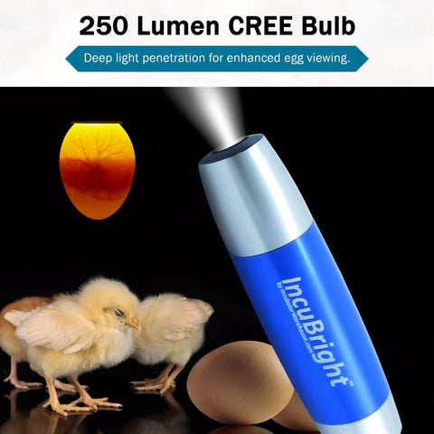 Ultra Bright LED Egg Candler Portable Light for All Egg Sizes, 250 lumen, shows embryo in egg with chicks, safe for poultry