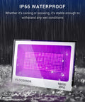 100W Outdoor Black Light for Glow Parties Halloween with Plug IP66 Waterproof UV Blacklight in heavy rain