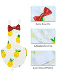 Two Pack Bird Diapers With 78 Inch Flying Leash Reusable Feather Friendly Fly Ready Flight Suit with pineapple design and bowtie
