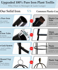 Comparison of 100% pure iron plant trellis vs plastic-coated trellis with features of solid iron for durability and strength.