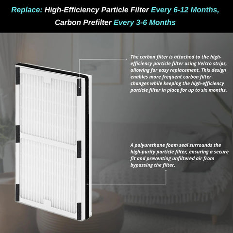 2 Pack Replacement Filter C For IAP-10-200 And IAP-10-280 Air Purifiers showing pleated filter and foam seal