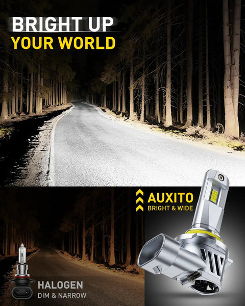 9005 HB3 LED Headlight Bulbs Pair, Straight Fire 40000 Lumens Crisp White Light, Plug And Drop Instant Setup, Zero Glare High Beam Auto Lighting, Own The Road Roll Smooth, 2 Pack on a dark road with trees