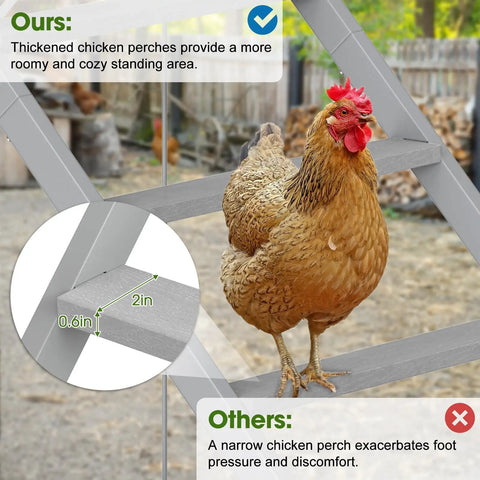 Chicken on gray wooden ladder in Chicken Perch With Ladder And Swing For Coop Roosting Bars For Chickens Enrichment Toy And Activity