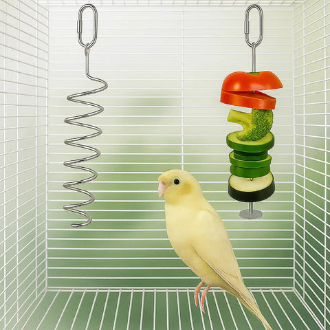 Seven Piece Bird Feeder And Water Dispenser Set For Parrot Cages No Mess Automatic Feeding Station With Slick Stainless Steel Fruit Forks Zero Sweat Hanging Toy Clean Setup Hassle Free Fresh Feed Routine featuring spiral metal skewer and fresh vegetables.