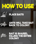 Instructions for using Pro Grade Indoor Ant Colony Buster Bait Stations for effective colony eradication.
