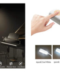 Rechargeable Type C FlexLamp 2 in 1 Desk and Floor Lamp with Adjustable Gooseneck Color Options and Touch Control